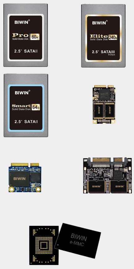 SSD компании Biwin America
