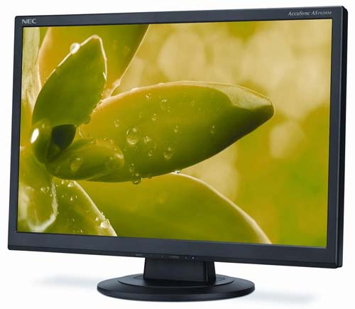 Монитор AccuSync AS192WM от NEC Монитор AccuSync AS192WM от NEC