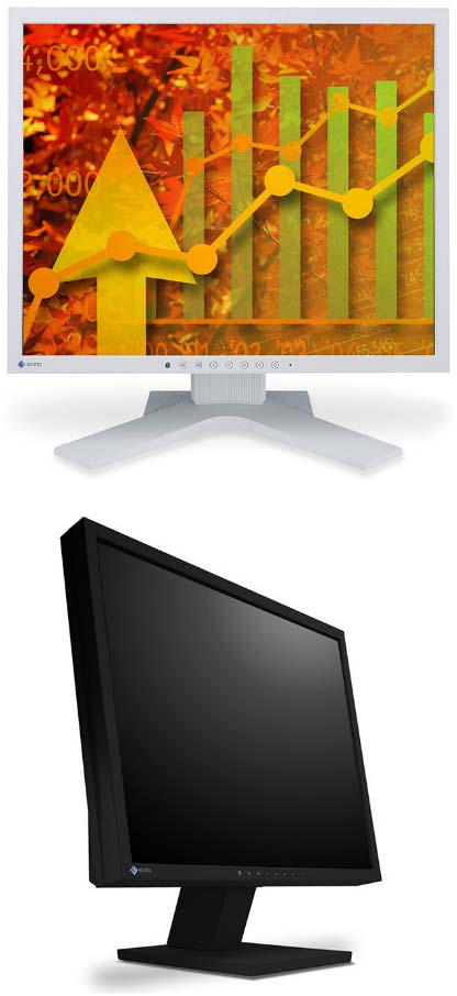 На фото устройство FlexScan S1933 от EIZO