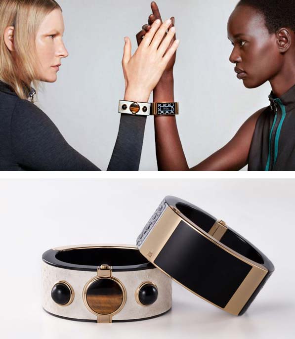 Устройство Intel MICA Устройство Intel MICA