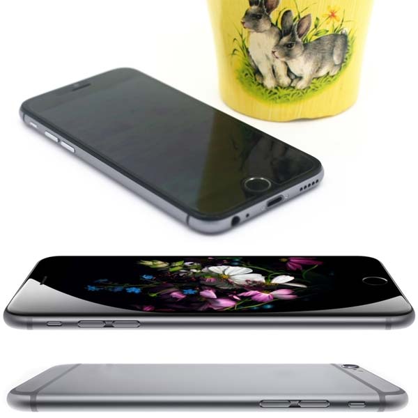 На фото показано устройство Sophone i6 (T6)