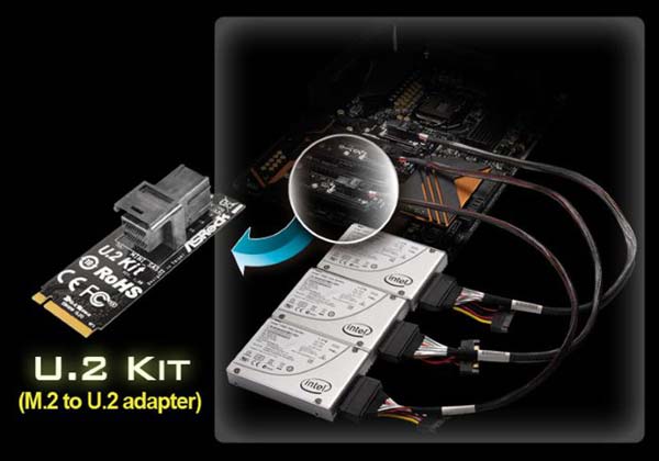 На фото ASRock Front USB 3.1 Panel и U.2 Kit