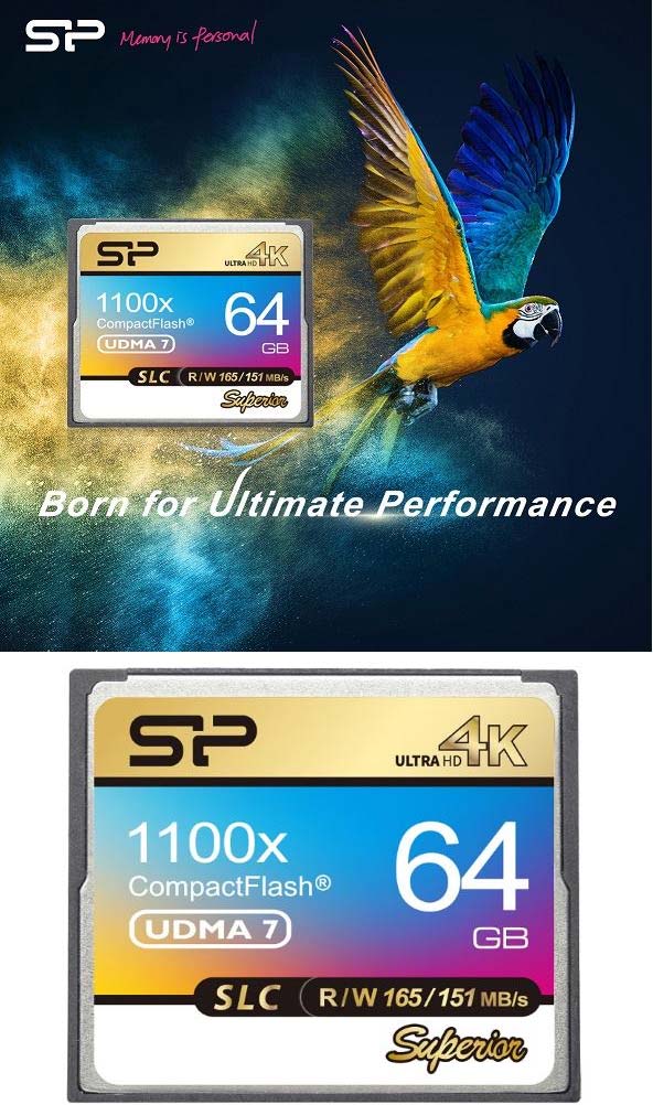 На фото карточка памяти Silicon Power Superior CF 1100X