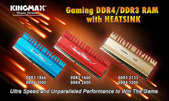 ZEUS DDR 4 Gaming RAM